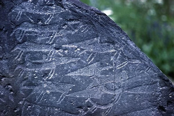 Italy, Lombardy Region, Valcamonica, Close-up of rock drawings in Naquane National Park