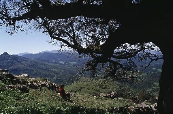 Italy, Sardinia Region, Costa Verde, Landscape from Mount Arcuentu