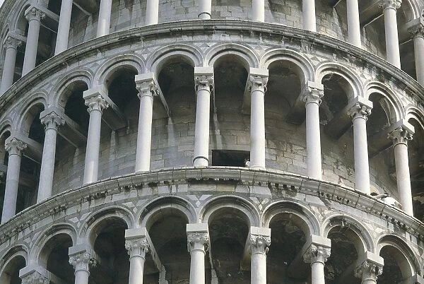 Italy, Tuscany Region, Pisa Province, Pisa, Piazza del Duomo, Campanile