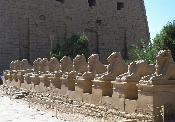 Line of ram-headed sphinxes, temple of Rameses II, The Great (1304-1237 BC) Karnak