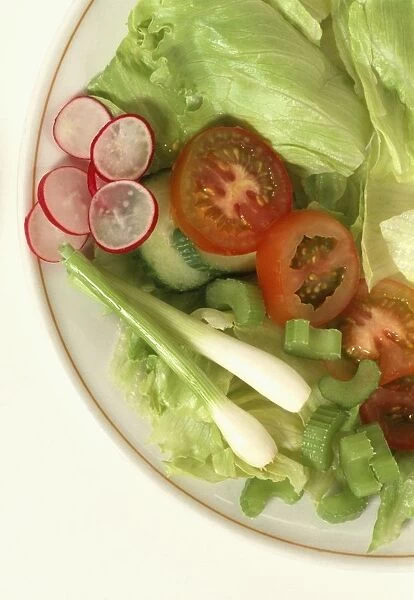 Mixed salad on a plate, containing tomatoes, cucumber, lettuce, spring onions, celery, radish, close-up