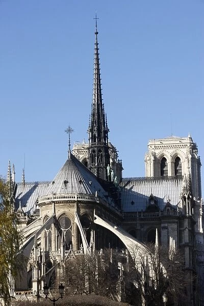 Notre-Dame-De-Paris cathedral cheviot