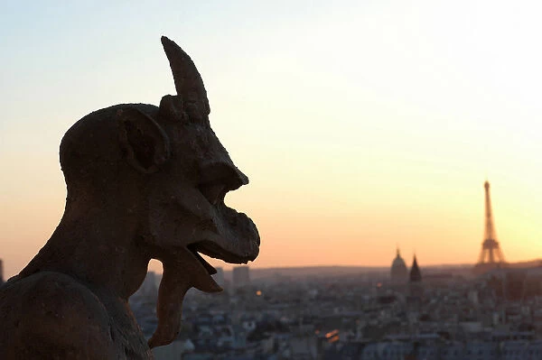 Notre Dame of Paris cathedral gargoyle at sunset