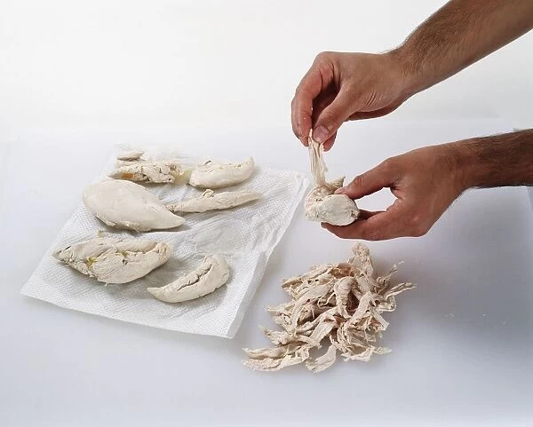 Pieces of cooked chicken breast being torn by hand, close-up