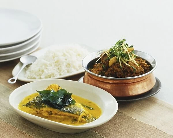 Plain rice, fish in yellow curry sauce (Meen Molee) and lamb stew (Bhuna Gosht)