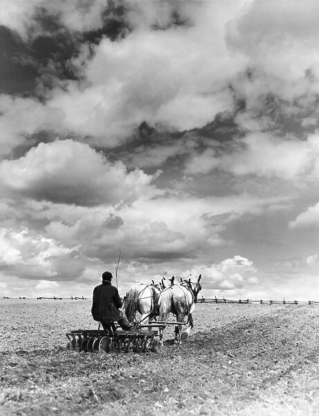 Rear view of farmer using a disc harrow, Norfolk, New York, USA, black and white