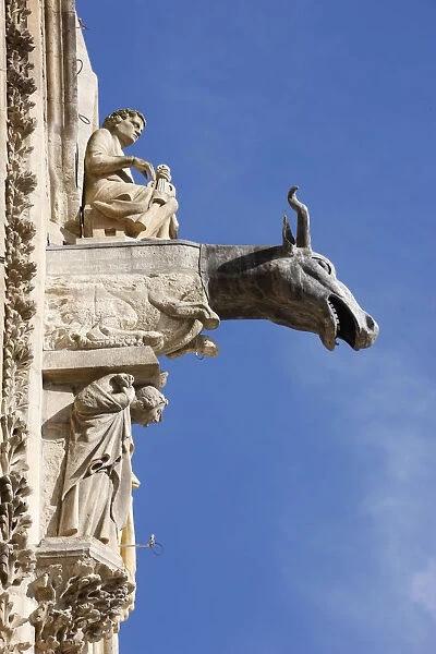 Reims cathedral gargoyle