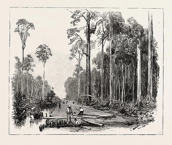 Road Making, And Draining The Land, Sumatra, Indonesia, 1890 Engraving