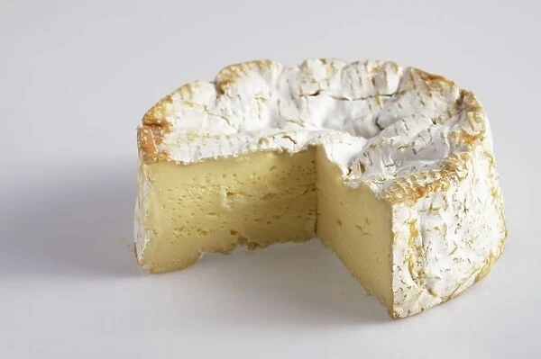 Round of French Camembert de Normandie AOC cows milk cheese
