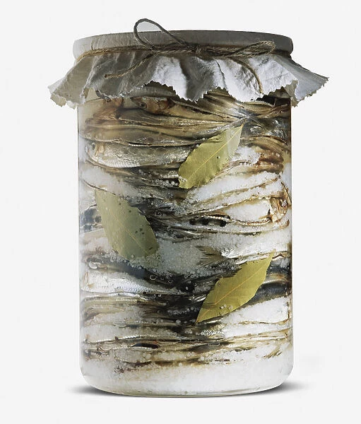 Salt-cured sprats in glass jar, with bay leaves