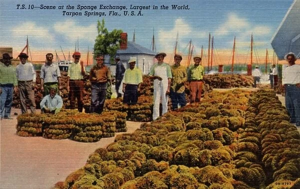 Scene at the Sponge Exchange, Largest in the World, Tarpon Springs, Florida, USA