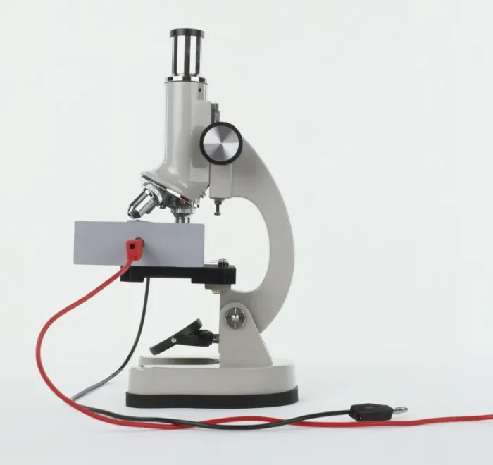 Framed Print : Side View Microscope Print Framed Print : Side View Microscope Print