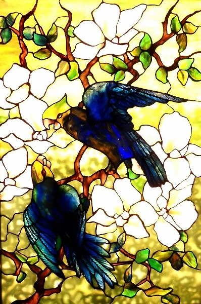 Stained Glass - Hibiscus and Parrots 1920 A. D