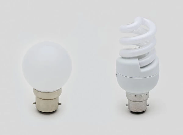 Standard lightbulb and compact fluorescent lightbulb