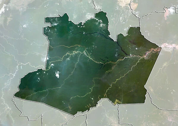 State of Amazonas, Brazil, True Colour Satellite Image