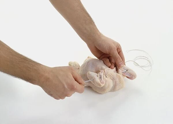 Trussing a chicken with a skewer, close-up