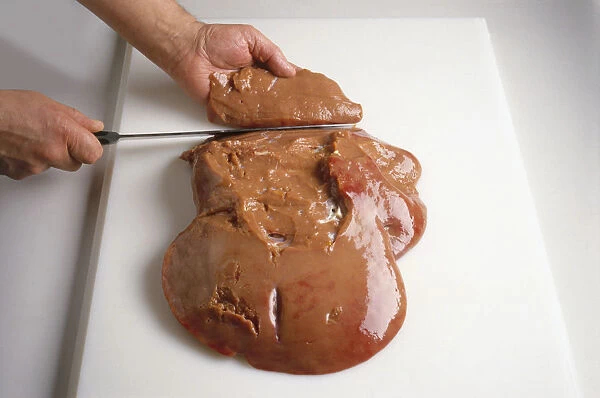 Using sharp knife to diagonally slice liver