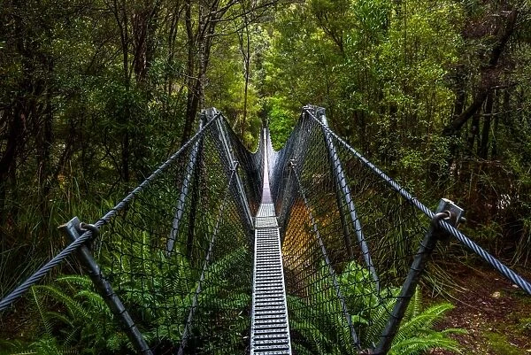 Bridge across Franklin River on the track to Frenchmans Cap, Franklin-Gordon Wild Rivers National Park, Tasmanis