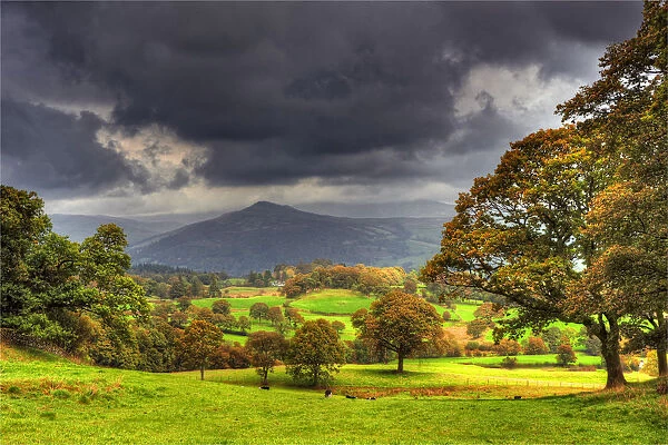 Countryside scene near Sawry, Lakes district, Cumbria, England, United Kingdom