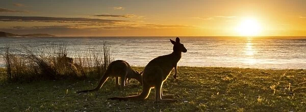 Kangaroo beach Sunrise