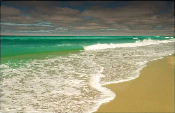 Martha Lavinia beach, popular with international surfers, King Island, Bass Strait, Tasmania, Australia