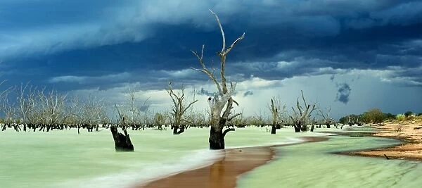 Menindee Lake in New South Wales