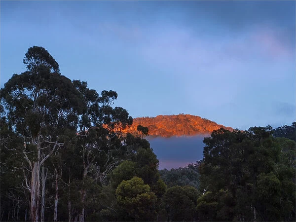 Misty dawn, Grampians, Western Victoria, Australia