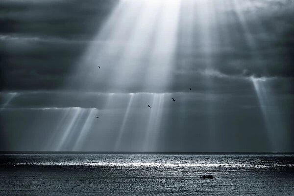Ocean god rays