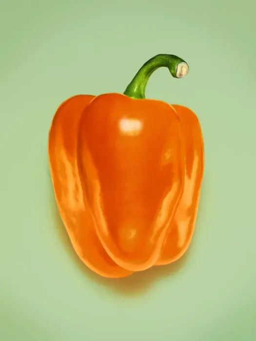 Framed Print : Orange Pepper Print on Pale Green Background Framed Print : Orange Pepper Print on Pale Green Background