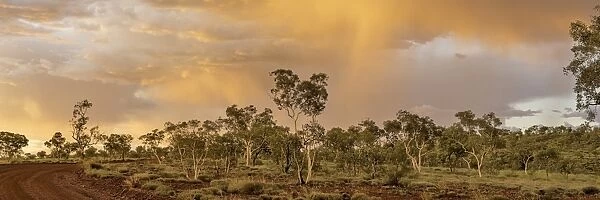 Pilbara Thunderstorm