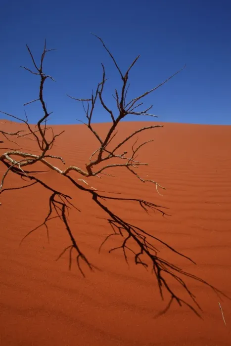 Framed Print : Red Desert Landscape Print Framed Print : Red Desert Landscape Print