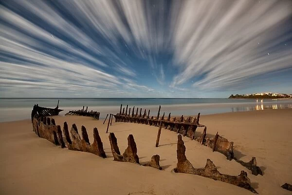 Skeleton in sand on beach, Sunshine Coast, Australia