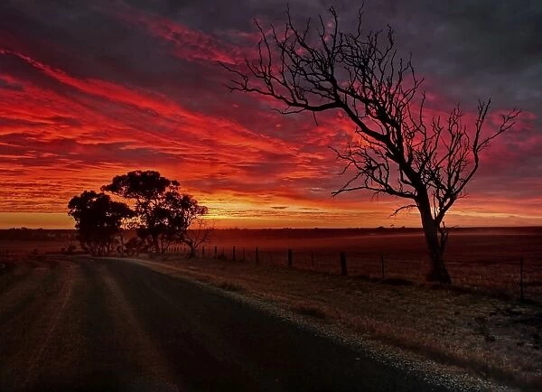 Sunrise in the Outback
