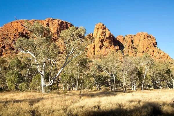 Trephina Gorge. Alice Springs. Australia