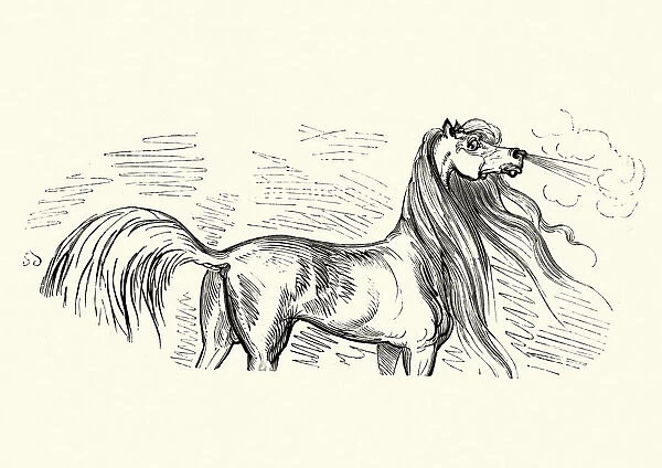 Adventures of Baron Munchausen The Horse