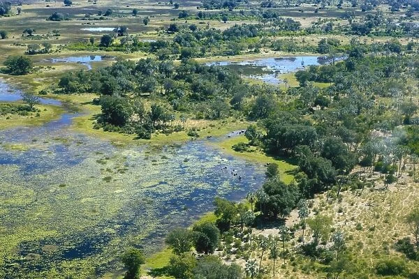 Aerial view, Okavango Delta, Botswana, Africa