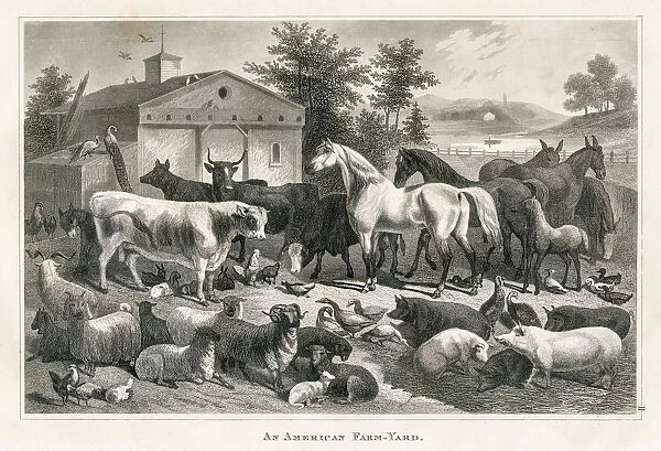 American farm yard engraving 1873