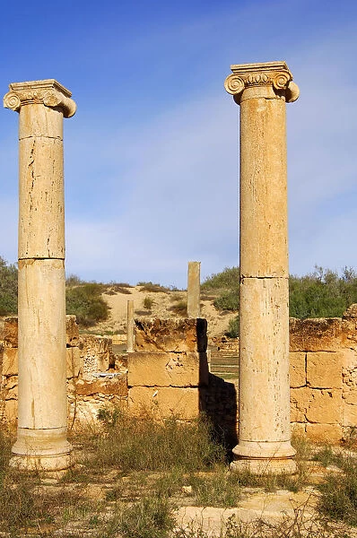 Ancient columns iwith ionic capital, ruins of the Roman City Leptis Magna, Libya