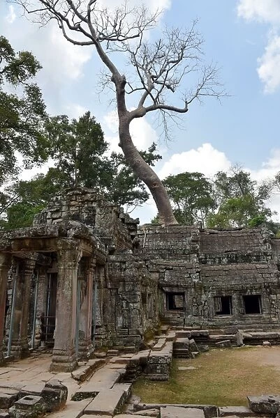 Angkor temple Siem Reap Cambodia