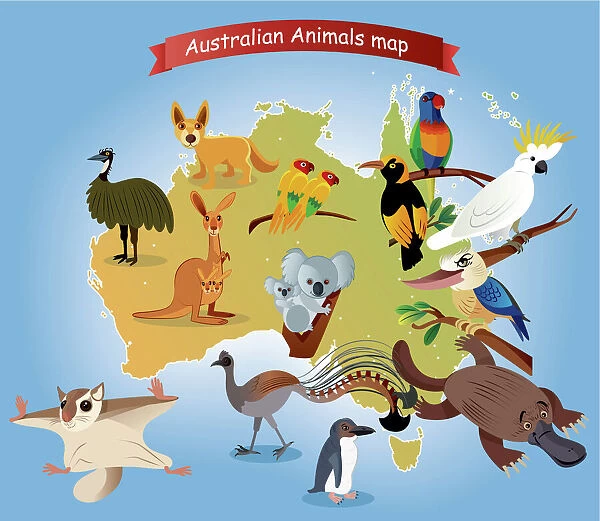 Australian Animals Map. Available as Framed Prints, Photos, Wall Art and  other products #14637337