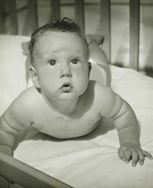 Baby (3-6 months) lying on stomach, raising on arms, (B&W)