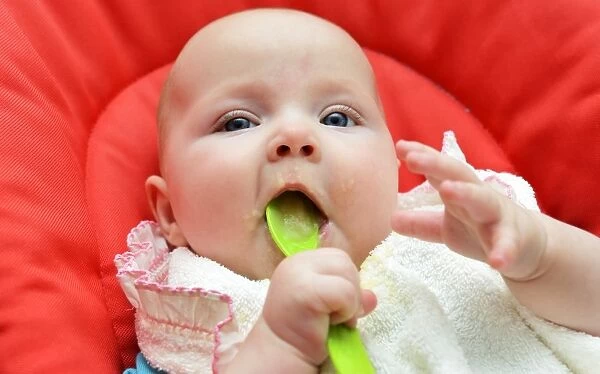 Baby, girl, six months, fed with baby food, Germany