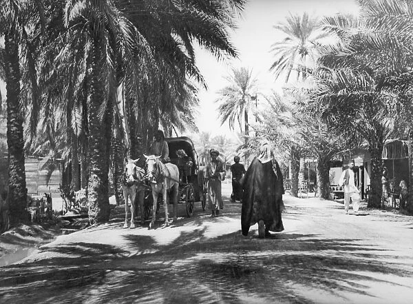 Baghdad Street
