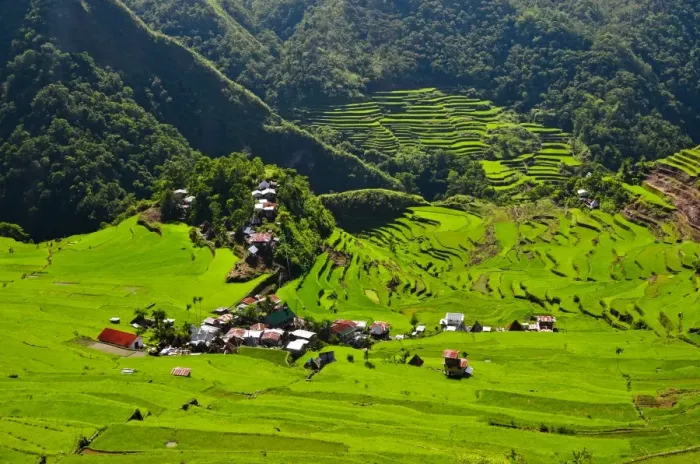 Framed Print : Batad Rice Terraces (Top View) Print Framed Print : Batad Rice Terraces (Top View) Print