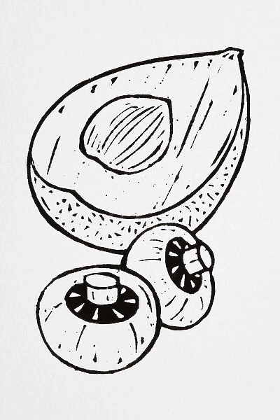 Black and white illustration of avocado half and two mushrooms