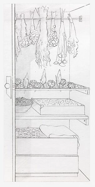 Black and white illustration of dried flowers stored in a cupboard