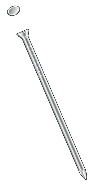 Black and white illustration of finishing nail with smooth shank and round head