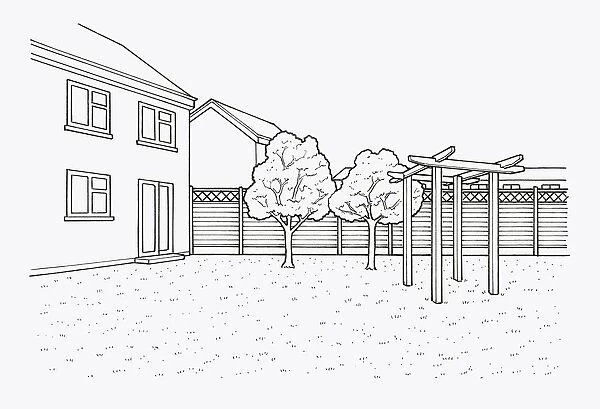 Black and white illustration of trees and pergola in garden and fence with trellis above