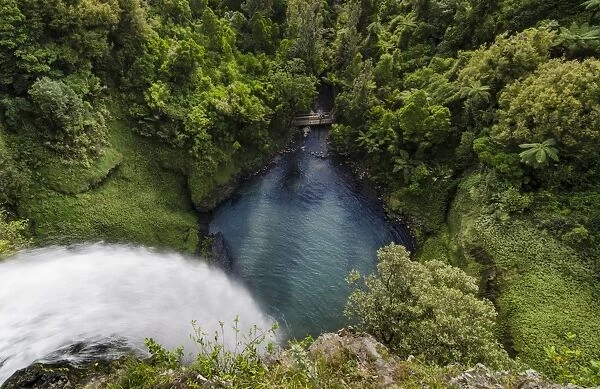 Bridal Veil Falls from above, plunging into a lake, Raglan, Waikato, North Island, New Zealand