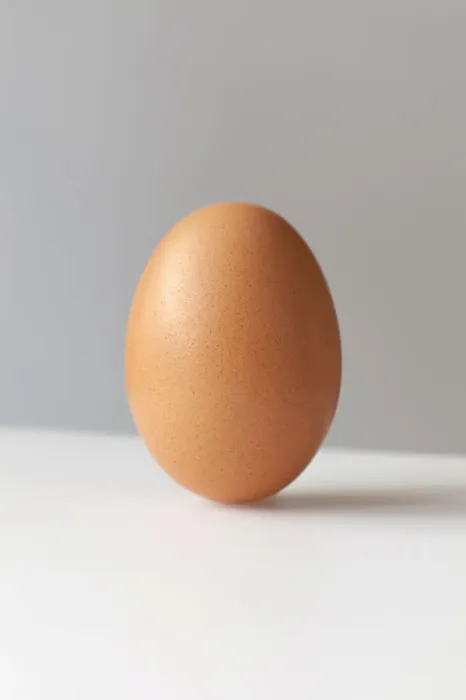 Framed Print : Brown Egg Print Framed Print : Brown Egg Print